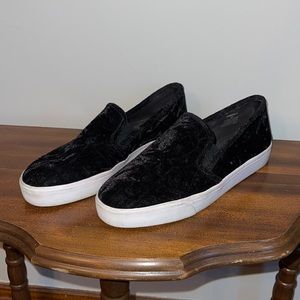 Velvet Sneakers